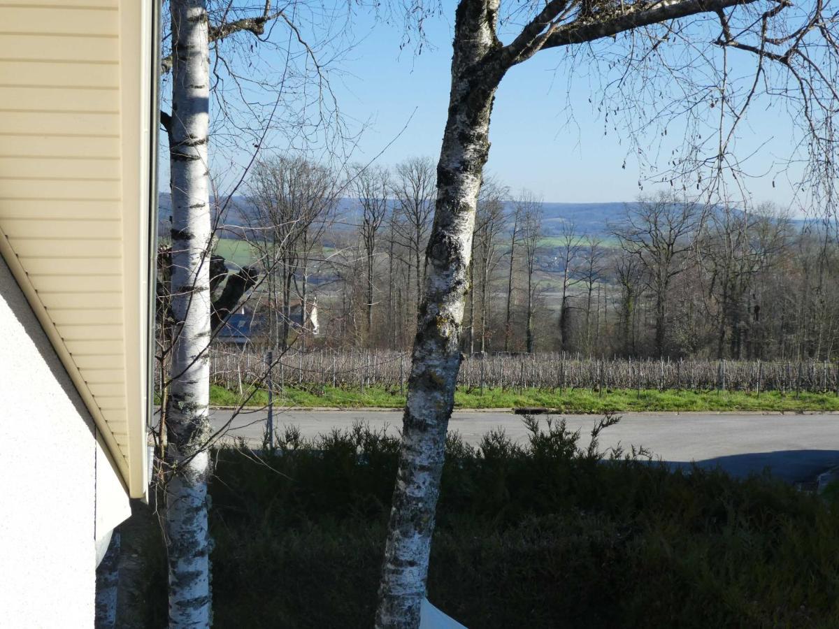 Bed and Breakfast La Tuiliere Mutigny Exterior foto